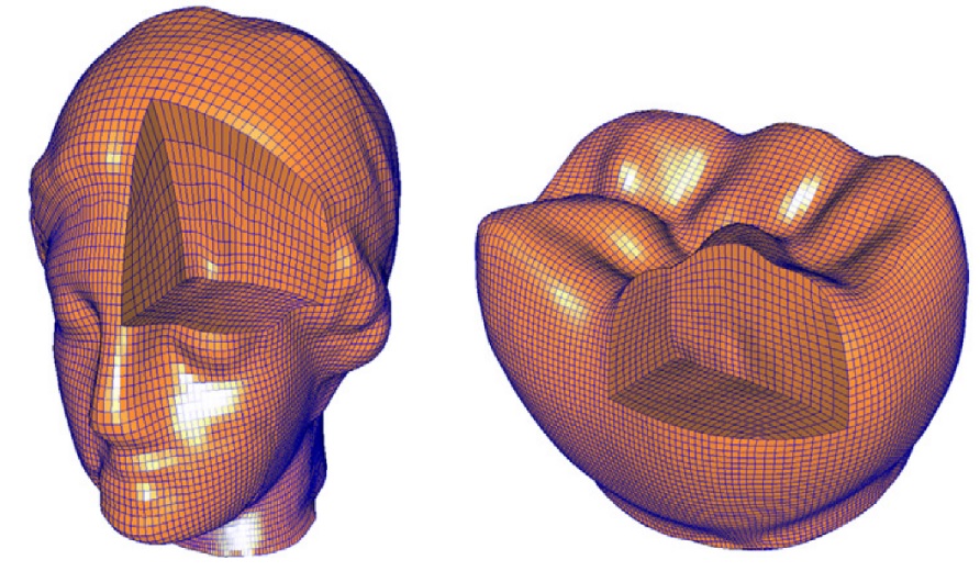 Trivariate B-spline Solid