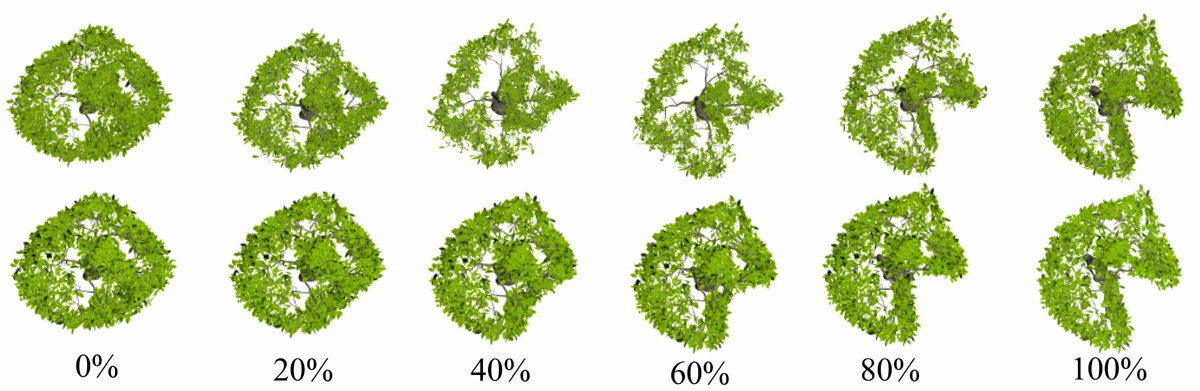 omparison between our method (bottom row) and topologically consistent morphing