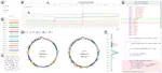 Visual exploration of software evolution via topic modeling