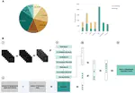 Deep learning for accurate diagnosis of liver tumor based on magnetic resonance imaging and clinical data