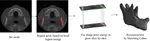 LRVRG: a local region-based variational region growing algorithm for fast mandible segmentation from CBCT images